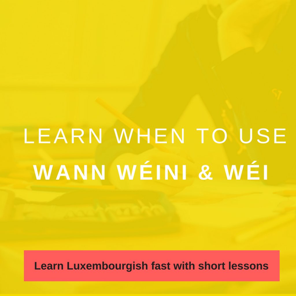 learn-when-to-use-wann-w-ini-and-w-i-luxemburgish-with-anne