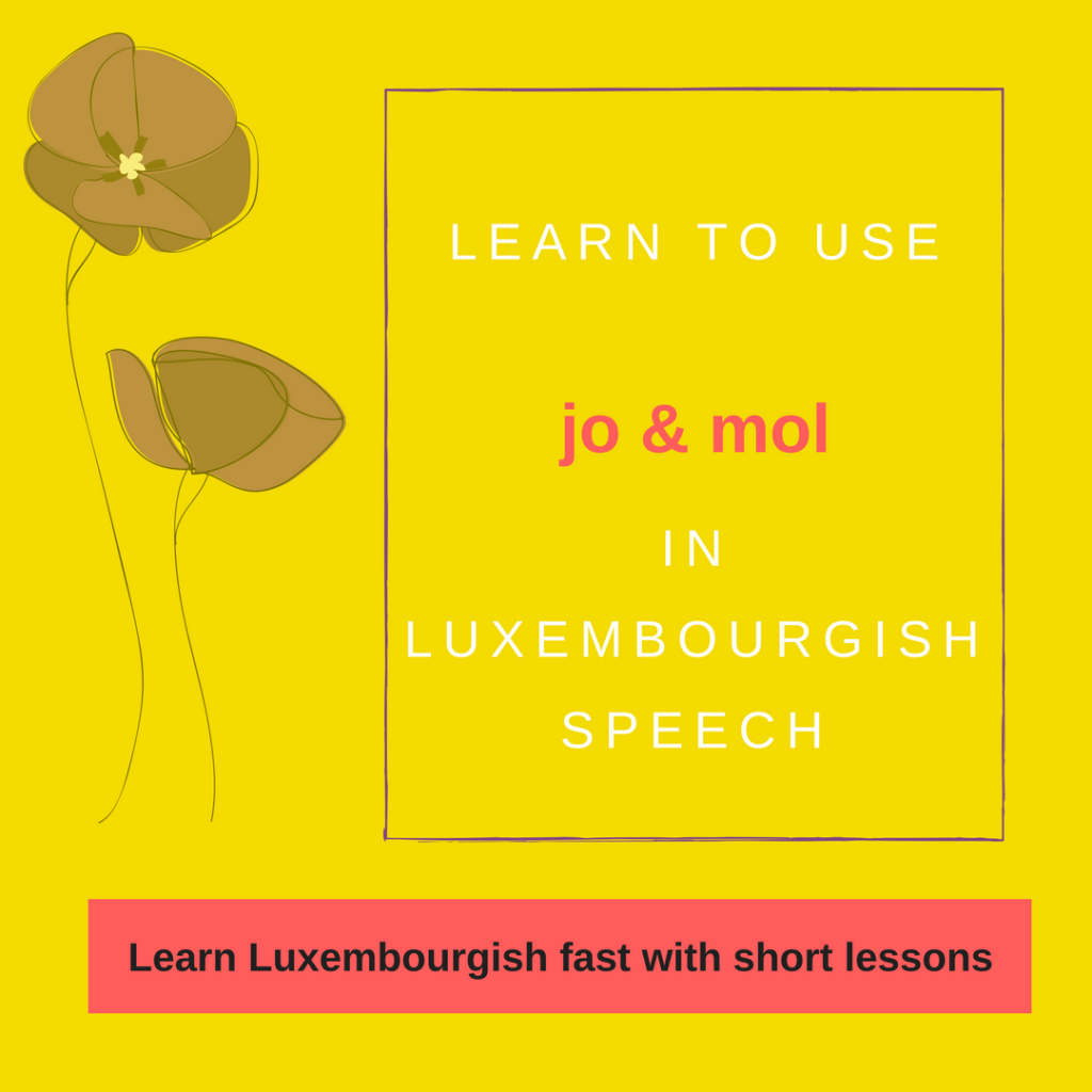Learn to use Jo & Mol